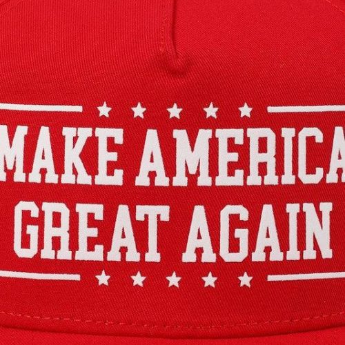 Great Again Trucker Hat 1