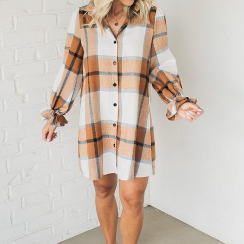 PerfectPlaidShirtDress