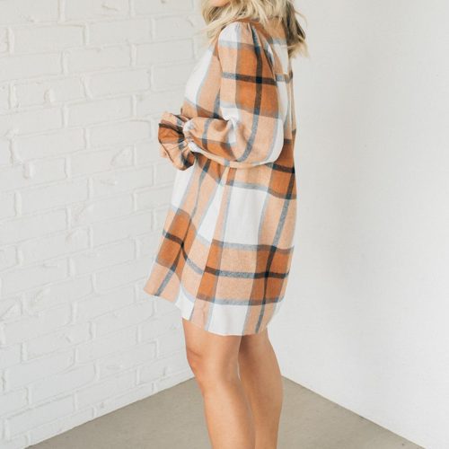 PerfectPlaidShirtDress 6