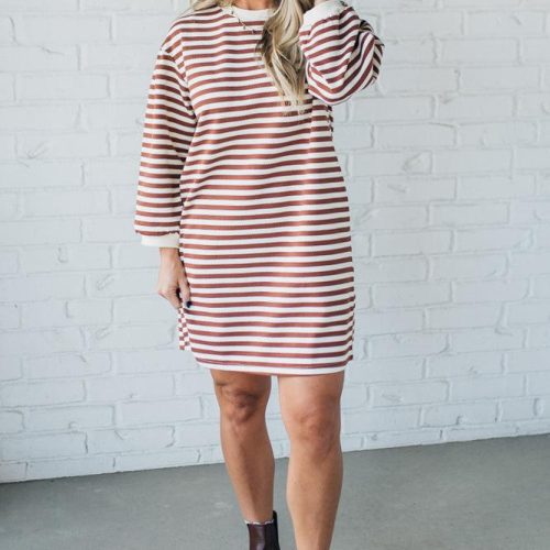 SparrowStripedShirtDress 3