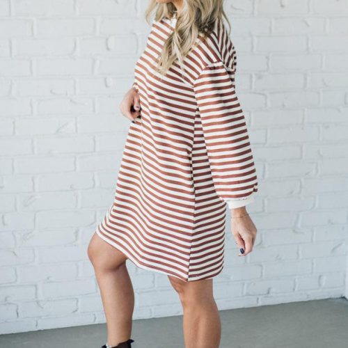 SparrowStripedShirtDress 6