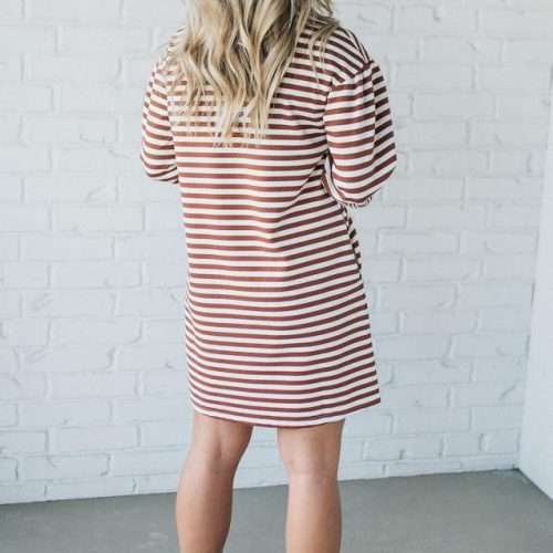 SparrowStripedShirtDress 7