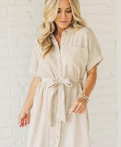 TheoStripedShirtDress 3