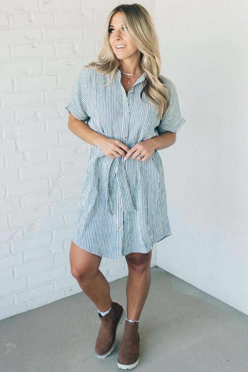 TheoStripedShirtDressNavy 3